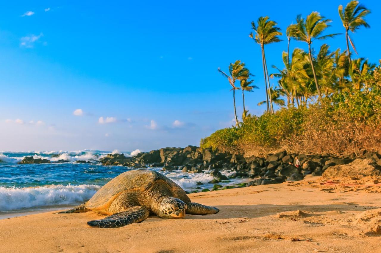 Апартаменты Aqua Palms Waikiki Ocean View Lanai Parking Included Гонолулу Экстерьер фото